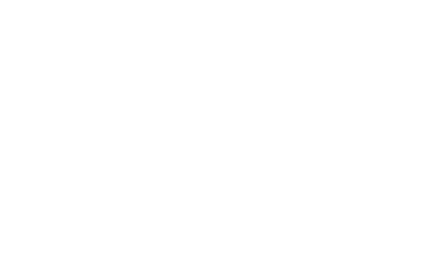 mgi logo white