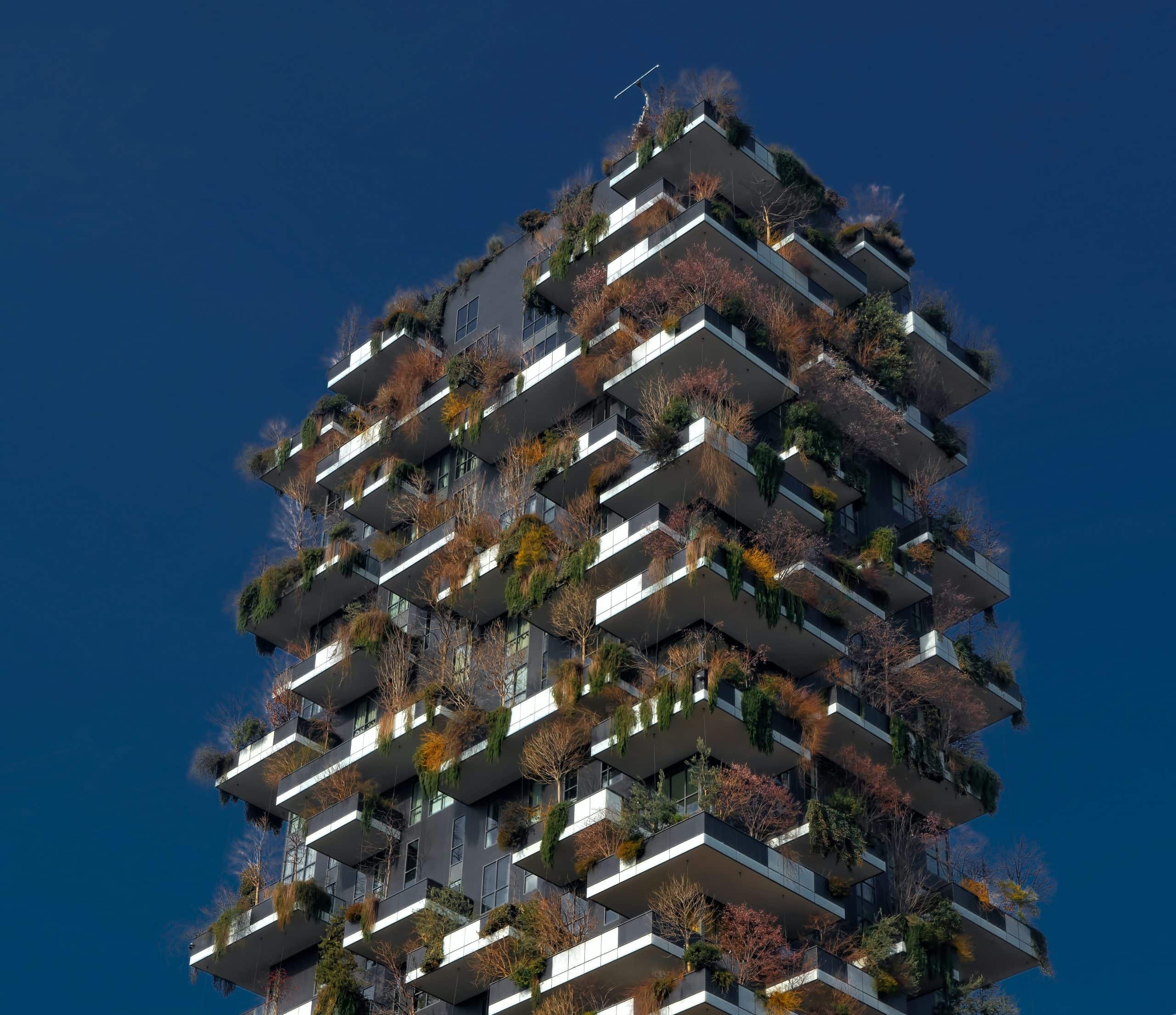 Ricardo Gomez Angel Oqyuujypfdm Unsplash